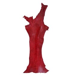 Skin of a Ostrich Leg