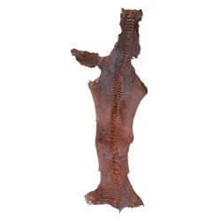 Skin of a Ostrich Leg