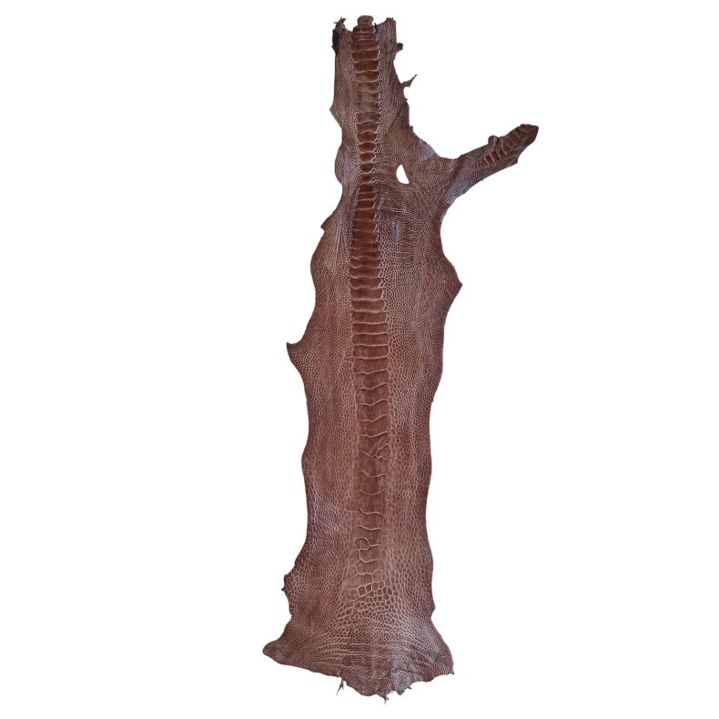 Skin of a Ostrich Leg No. 30 per pcs.