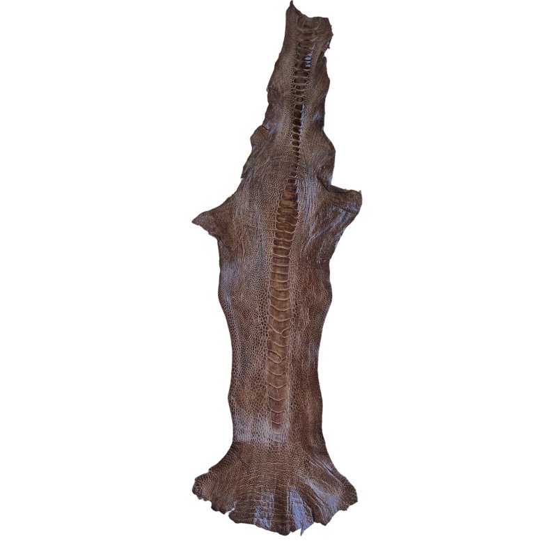 Skind fra strudseben ca. 35 cm No. 31 pr. stk.