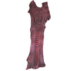 Skin of a Ostrich Leg