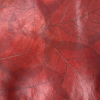10x66 cm,R�d,pr. stk.
