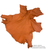 ca. 15 Quadratfu,Orange,pro Stück