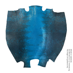 Eidechse Leder ca 30x30 cm.