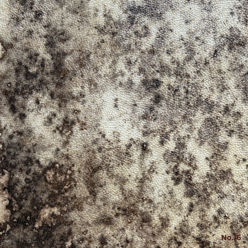 Svampelder Hel plade No. 16 ca. 1 mm pr. stk.