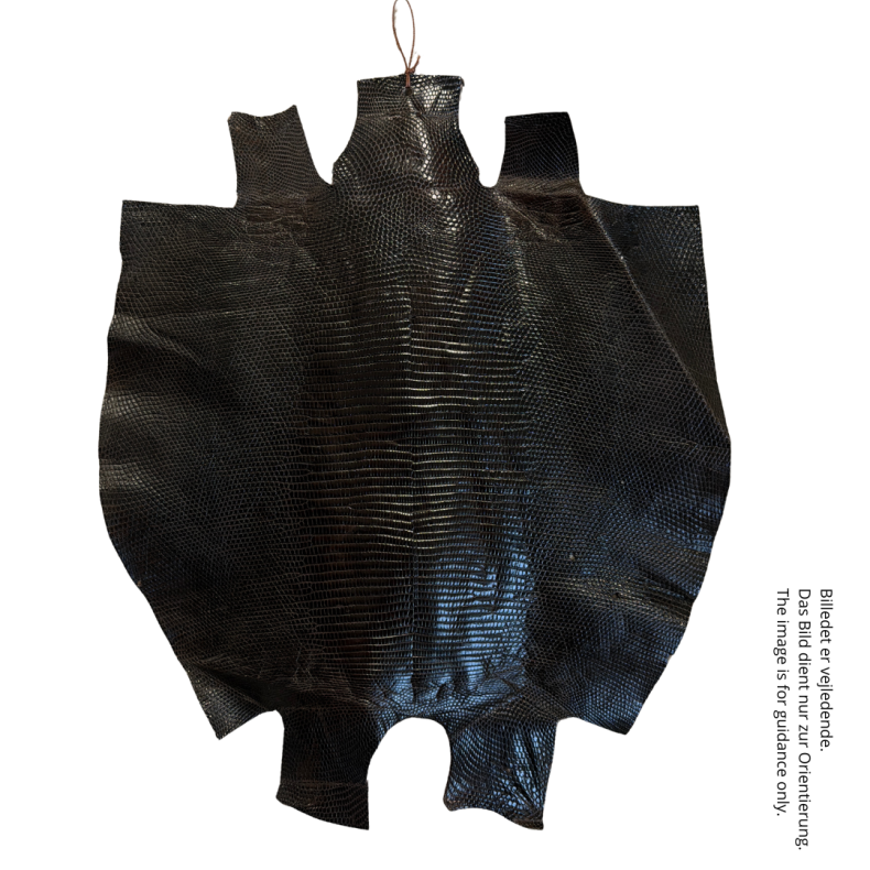 Eidechse Leder ca 30x30 cm.