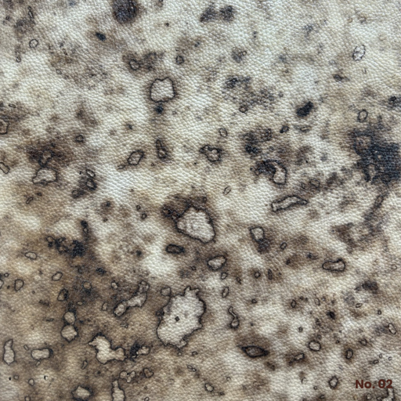 Svampelder Hel plade No. 02 ca. 1,1 mm. pr. stk.