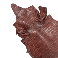 Krokodilleskind, bug, farvet