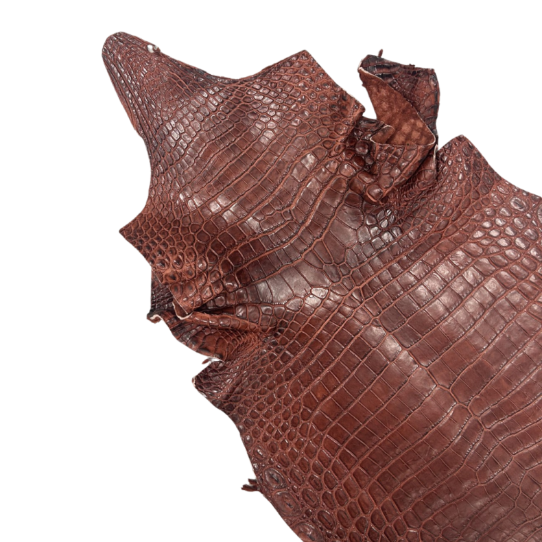 Krokodilleskind, bug, farvet