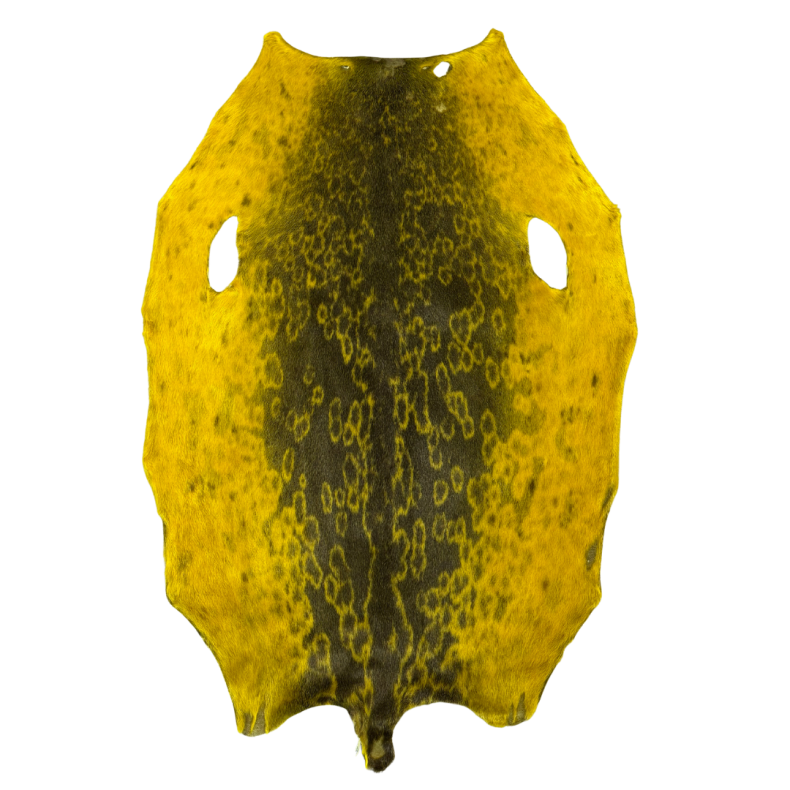 Robbenfell, gef�rbt