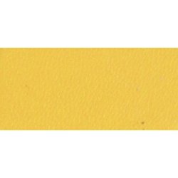 Quick Color Dye 250 ml.