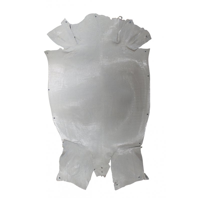 Lizard leather