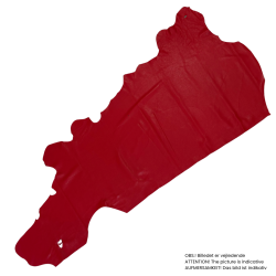Calfskin, Lucca,