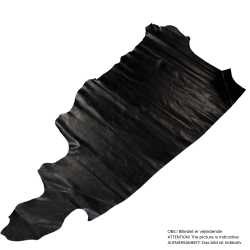 Calfskin, Padua,