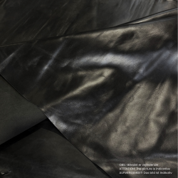 Calfskin, Padua,