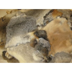 Kaninskind natur tilbud v. 100 stk.