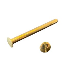 Chicago Screws 60x10 mm.