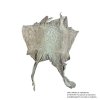 ca. 15x10 cm,Beige,per Stck.