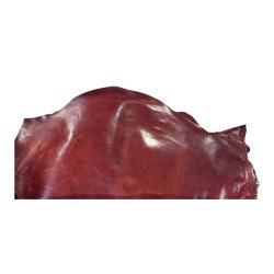 Horseskin,  