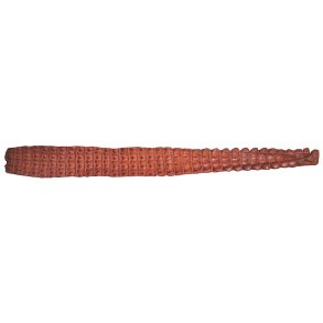 Crocodile back leather