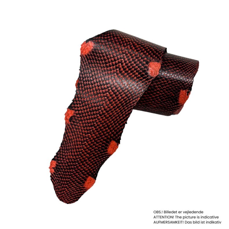 Salmon, D�grad�,