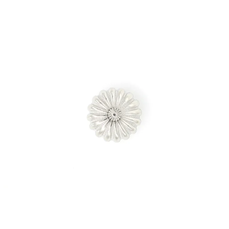 Conchos Palazzo Nickel per pcs.