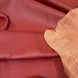 Upholstery and Chap Hide pigmented, Terra,
