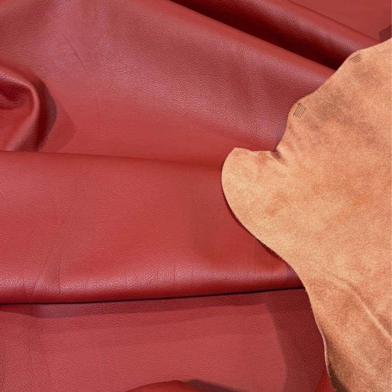 Upholstery and Chap Hide pigmented, Terra,