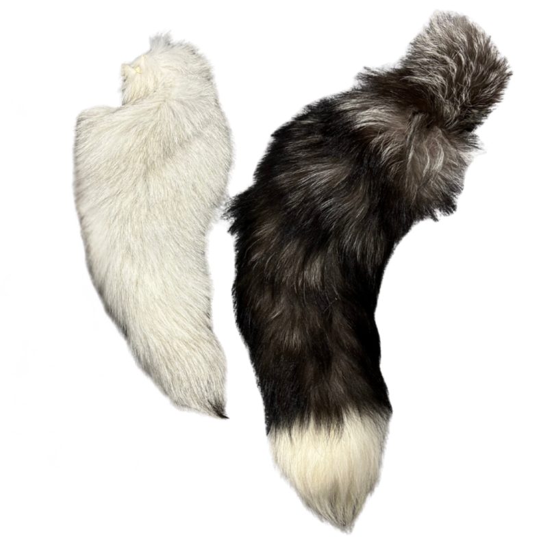 Fox tail