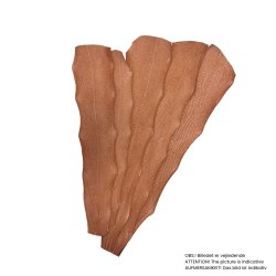 Lachs, Raw,