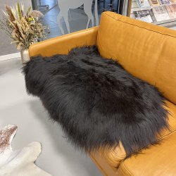 Lammeskind, Islandsk 