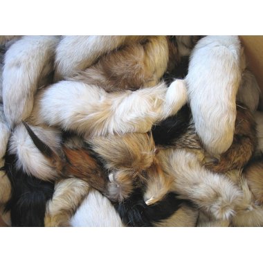 Fur tails