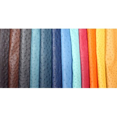 Ostrich Leather