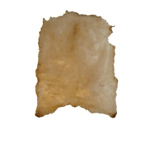 Raw hide