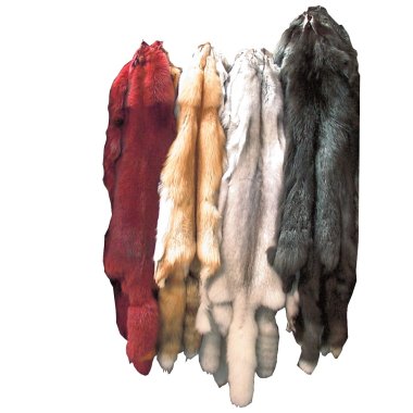 Fox skins