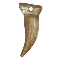Claw of a Bear bone