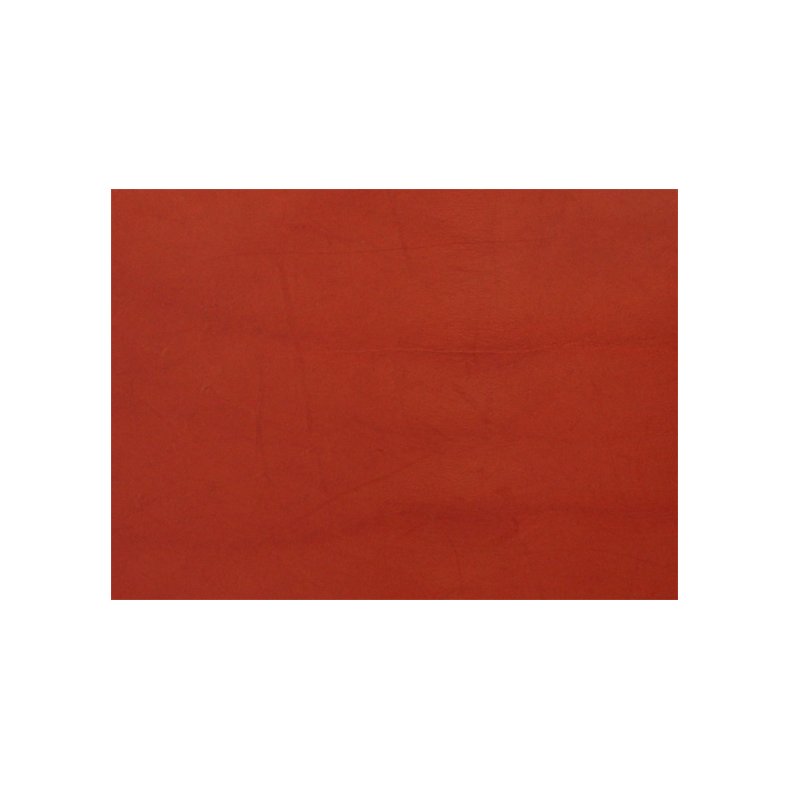 Waterstain 1 liter 016 orange pr. stk.