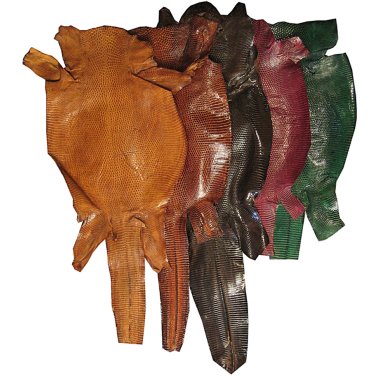 Reptile skins